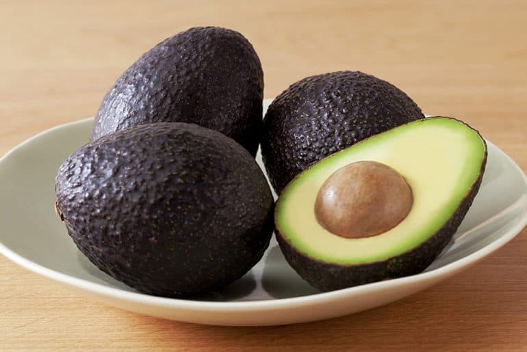 Avocado, já não dá mais pra viver sem ele