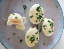 Ovo Mayo Eu Como SIm